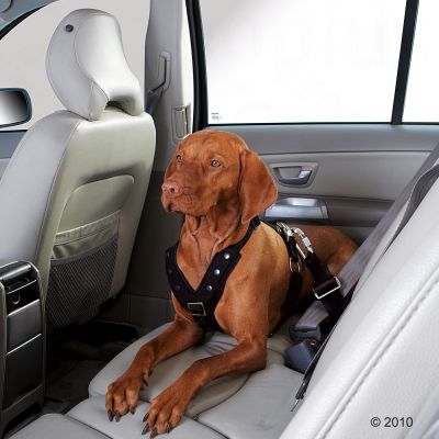 HUNTER Courroie ajustable de ceinture de sécurité avec clip pour chien –  MEUNERIE DALPHOND