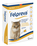 Felpreva chat Spot-On antiparasitaire