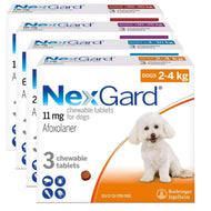 NexGard chien anti-puces anti-tiques en comprimés