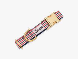 Collier pour chien Bandit