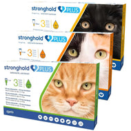 Stronghold PLUS chat antiparasitaire