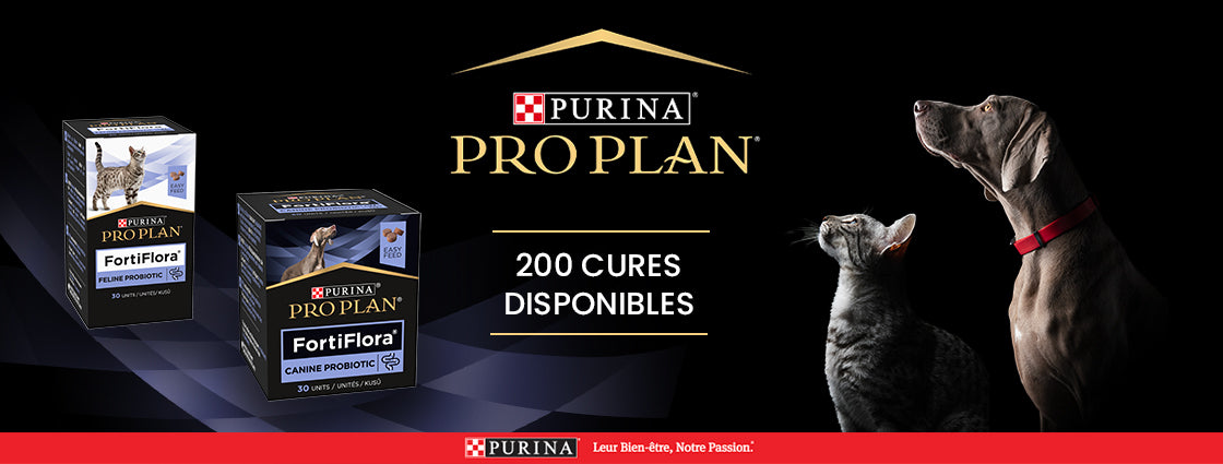 PURINA PRO PLAN Fortiflora Canine Probiotic pour chien