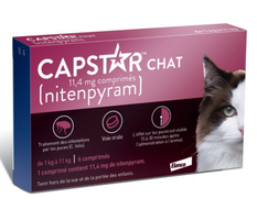 Capstar chat comprimés anti-puce Elanco