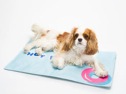 Tapis rafraichissant pour chien Bandit Paris